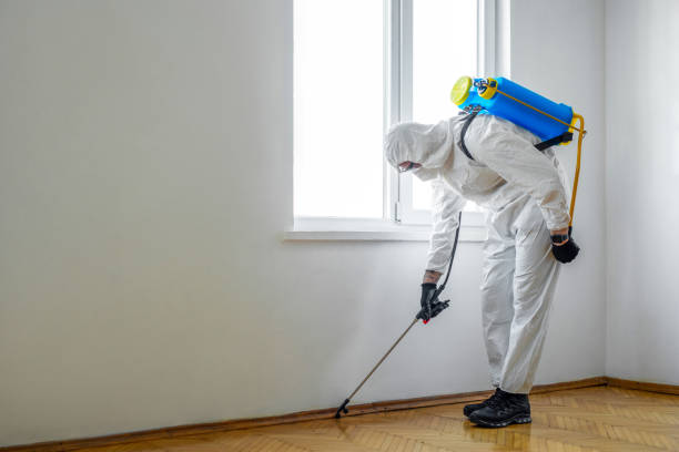 Best Commercial Pest Control Services  in Holdrege, NE
