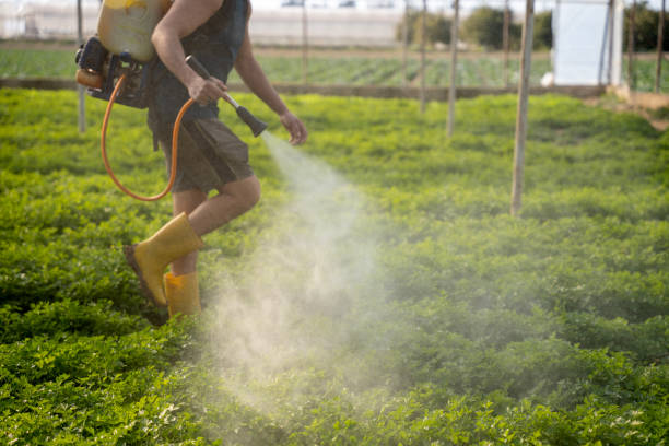 Best Ant Control Services  in Holdrege, NE