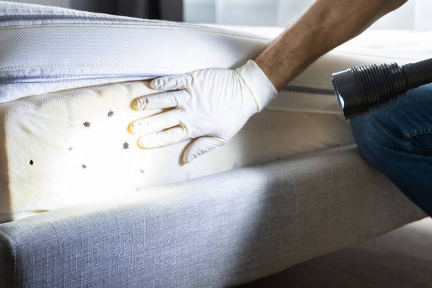 Best Bed Bug Extermination  in Holdrege, NE